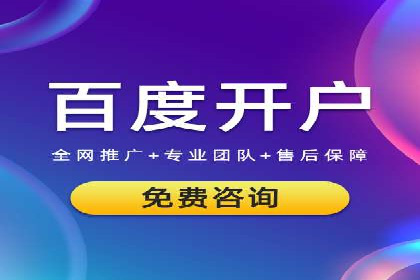 百度竞价运营的挑战与机遇：成功案例探讨